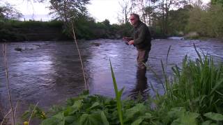 How To Catch Wild River Trout using the Upstream Worming Technique [upl. by Ellehcil551]