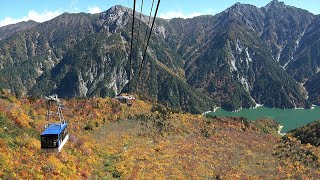 富山｜TOYAMA AUTUMN MOVIE 4K [upl. by Sneve810]