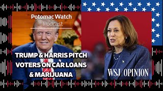 Trump and Harris Pitch Voters on Car Loans and Marijuana [upl. by Horwitz]