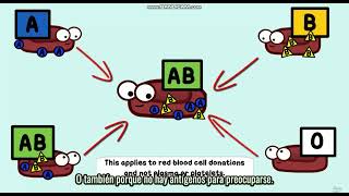 Biology with SPANISH through AMOEBA SISTERS  Multiple Alleles ABO Blood Types and Punnett Squares [upl. by Nyloc]