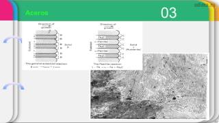 Diagramas de fase II aceros [upl. by Ttesil]