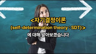 김유미 노무사 경조 자기결정이론selfdetermination theory  SDT [upl. by Enelam372]