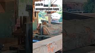 kayu kempas bandsaw [upl. by Woodberry]