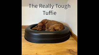 The Really Tough Tuffie The chewproof dog bed from Tuffies [upl. by Renita]