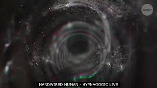 HYPNAGOGIC LIVE [upl. by Llerrah]