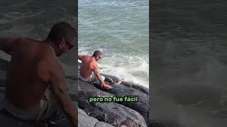 This man saved a turtle stuck in the rocks 👏 TurtleRescue RockBoundTurtle viral [upl. by Tia870]