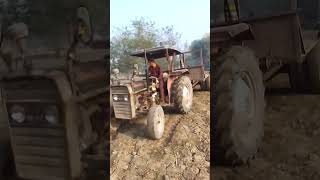 tractor se darakhat ko nekalte hoe [upl. by Stern]