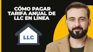 Cómo Pagar la Tarifa Anual de LLC en Línea 2024 [upl. by Justinian23]