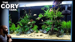 The Cory Tank EPIC 3ft Aquascape Tutorial [upl. by Kadner]