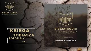 BIBLIA AUDIO superprodukcja  17  Księga Tobiasza  rozdziały 16  Stary Testament [upl. by Norman]