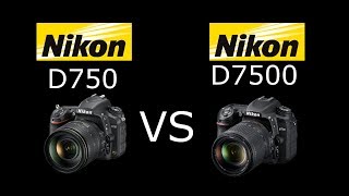 Nikon D750 vs Nikon D7500 en Español  VS Digital [upl. by Eeryn]