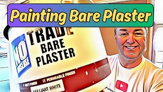 how do you paint new bare plaster  advice from a professional [upl. by Nydia88]