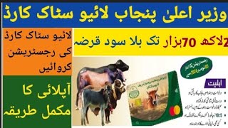 Live stock card  CM PUNJAB VETERNERY CARD KA IJRAA  VETERNERY CARD ISSUED [upl. by Annavoj]