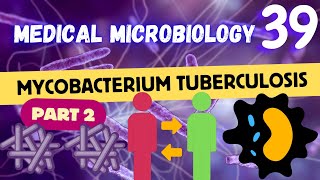 Mycobacterium tuberculosis TB Transmission amp Pathogenesis Part 2 شرح بكتيريا السُل الدرن [upl. by Ahseiym]