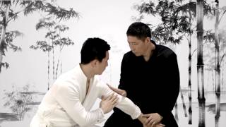 易筋經 · Yi Jin Jing Muscle Tendon Change Classic Qi Gong [upl. by Kelby961]