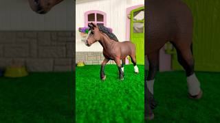 Schleich horse shorts video [upl. by Terrag563]