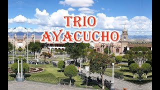 Adiós vidita del alma  Trío Ayacucho [upl. by Kirkpatrick863]