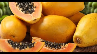 How to Ripen Papaya Naturally at Home  Easy Way to Ripe RAW fruits Faster [upl. by Ardy788]