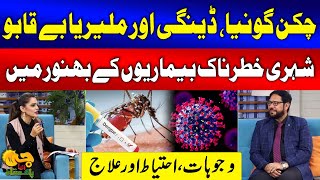 Chikungunya Dengue and Malaria Cases in Karachi  Treatments and Precautions  G Utha Pakistan [upl. by Autry962]