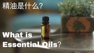 【dōTERRA 多特瑞精油】多特瑞精油是什么 What is doTERRA Essential Oil｜一起来学精油｜MUYALIFE 慕雅生活 [upl. by Heinrich]