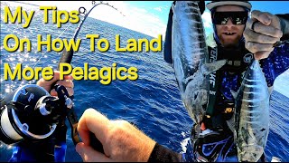 Pelagics in Perth A couple of Tips to Help Land more Hook Ups while trawling Ep58 BlissNiques [upl. by Cornish176]