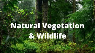 natural vegetation and wildlife class 9 ll NCERT  Social science by Deepak sir [upl. by Chance219]