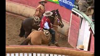 Rodeo Campeones de Chile [upl. by Vez]