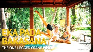 Ashtanga Yoga  The Ultimate Guide to Eka Pada Bakasana [upl. by Niatsirt]