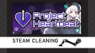 Steam Cleaning  Project Heartbeat [upl. by Aivan]