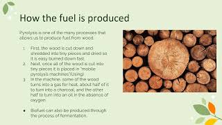 Biofuel Project BIO 111 [upl. by Aisyat]