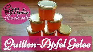 QuittenApfel Gelee mit dem Dampfentsafter ganz einfach selber machen 2021  Melis Backwelt [upl. by Audley79]