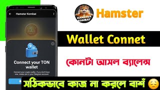 Hamster Airdrop Distribution  Profit Per Hour  Hamster Kombat New Update  Hamaster wallet connet [upl. by Adnylam]