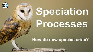 Speciation Processes  How do new species arise [upl. by Dean427]