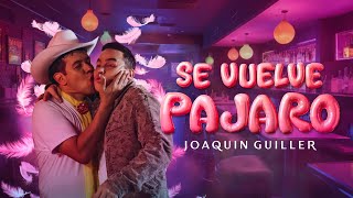 Joaquin Guiller  Se Vuelve Pájaro Video Oficial [upl. by Sternick388]