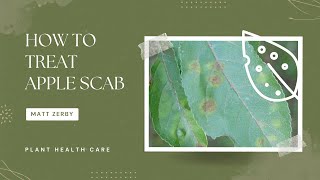 How to treat Apple Scab on Crabapples [upl. by Anuaik155]