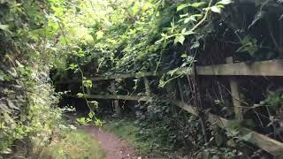 Edge of Wallingford Thames path [upl. by Denni]