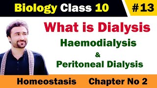 What is dialysis class 10  haemodialysis and peritoneal dialysis [upl. by Ahsoet358]