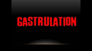 Gastrulation [upl. by Leigh]