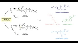 Total Syntheses of Nominal and Actual Prorocentin with Dr Raphael Zachmann [upl. by Irrol]