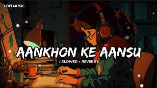 Aankhon Ke Aansu 😔  Slowed And Reverb Song 💞  Lofi Sad Song  New Lofi Song LOFISTUDIO134 [upl. by Drarig]