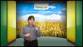 Farmscom Market School How Grain Prices Are Determined [upl. by Derte]