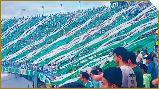 TORCIDA DO PALMEIRAS NA FINAL DA LIBERTADORES 2021 [upl. by Nive308]