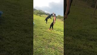 Cane Corso HUGE Jump🤯❗️ [upl. by Sukramed]