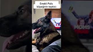 Emekli köpek 🐶🐶 [upl. by Leirrad]