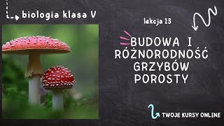 Biologia klasa 5 Lekcja 13  Budowa i różnorodność grzybów Porosty [upl. by Ahsirt569]