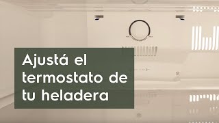 ¿Cómo mantener el buen funcionamiento de tu heladera Electrolux [upl. by Errot]