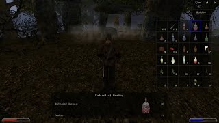 Gothic 2  Night of the Raven  Part 16  Stone Circles no commentary [upl. by Eissen]