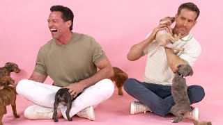 Ryan Reynolds and Hugh Jackman The Puppy Interview [upl. by Willy15]