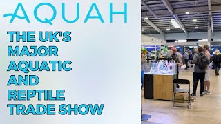 Visiting AQUAH 2024  The UK’s Largest Aquatic and Reptile Event [upl. by Julietta]