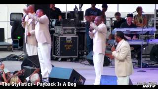 The Stylistics  Payback Is A Dog [upl. by Yerak]